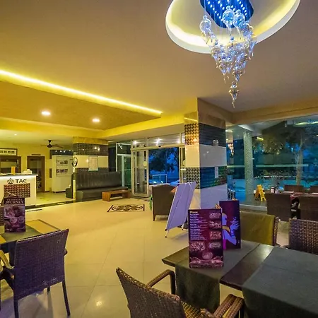 Cleopatra Tac & Apart 3*